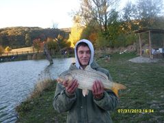 icn carp